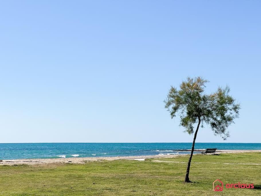 Apartmán El Jardin Oropesa del Mar Exteriér fotografie